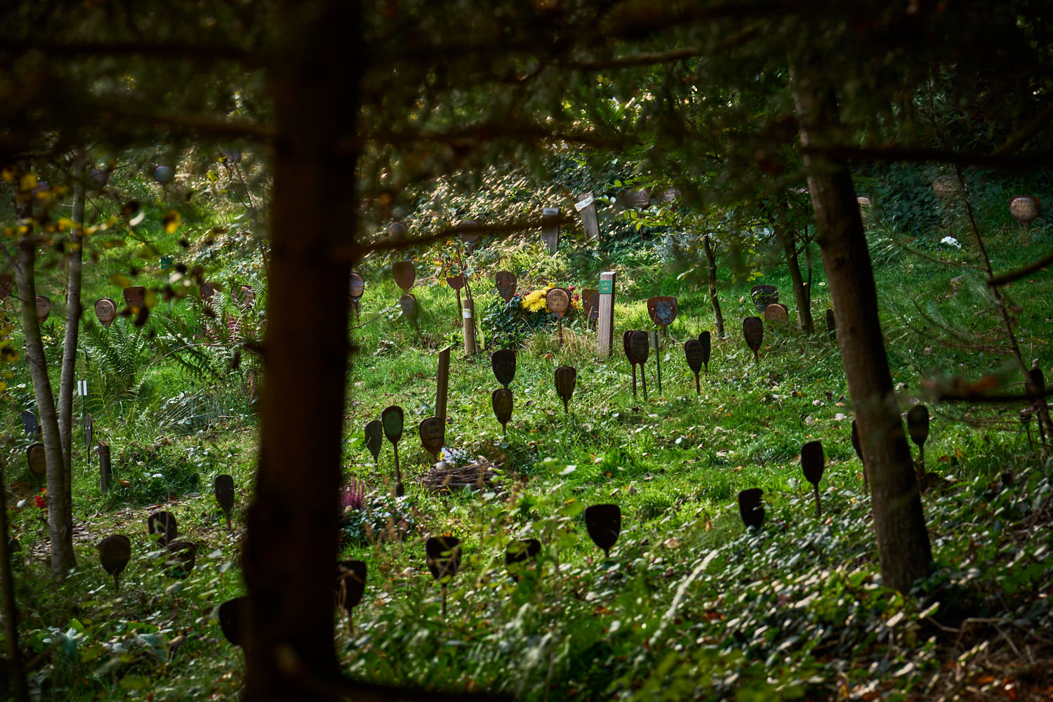 Feenwiese mit Namenstafeln im TrauerPark Eremia – Wiesengräber